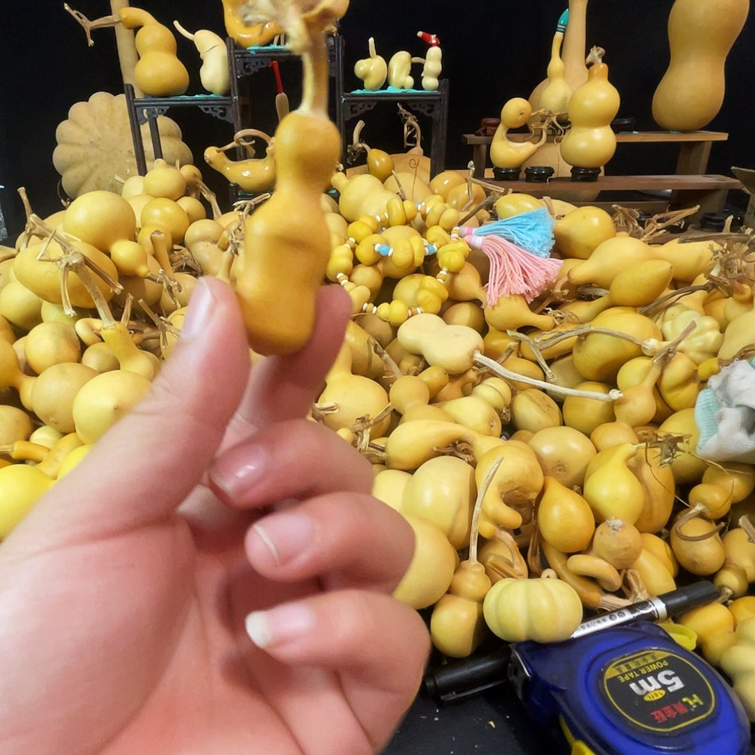 浅***央1555555555555555555