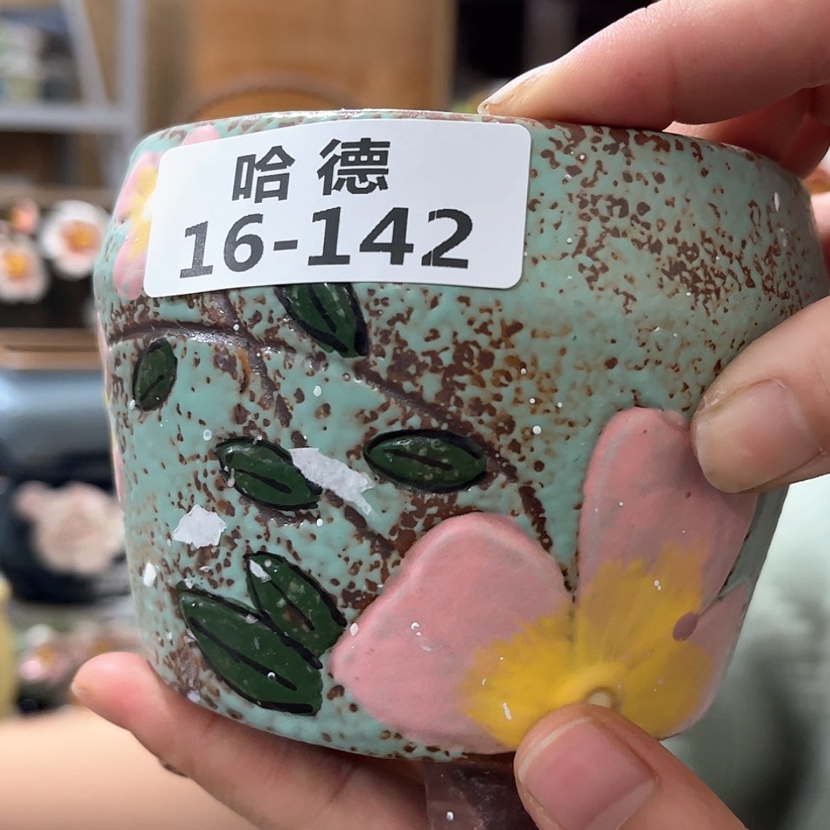 【闪购商品】红陶16142