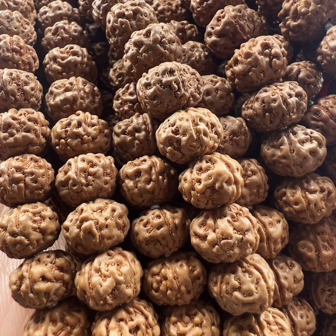 金刚菩提吊坠老树王9m两条保108