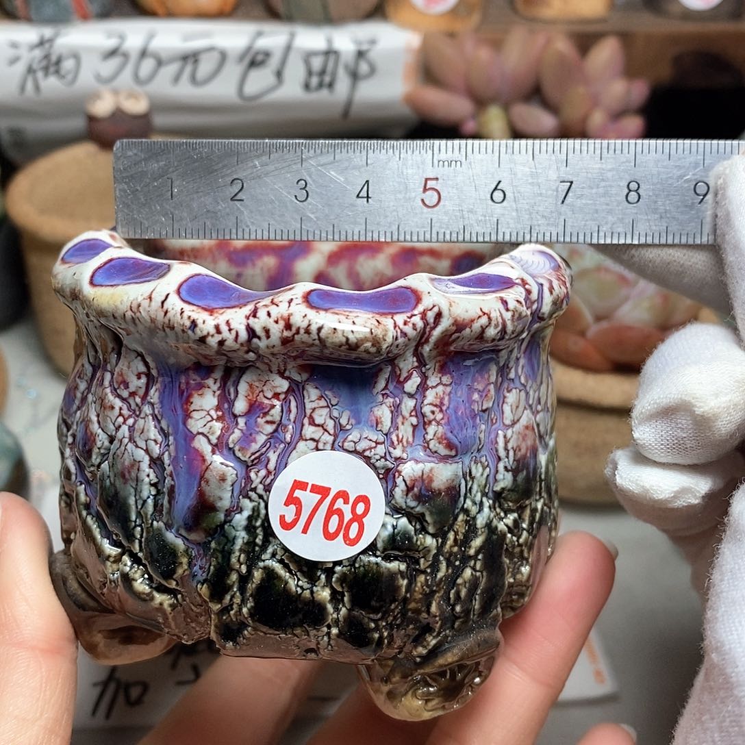 红陶拍5送一个小