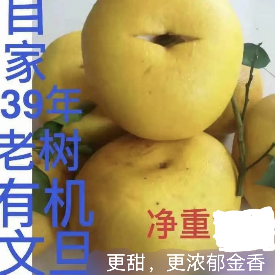 正宗玉环早熟文旦柚新鲜裂果即食自家种植自然农法种植