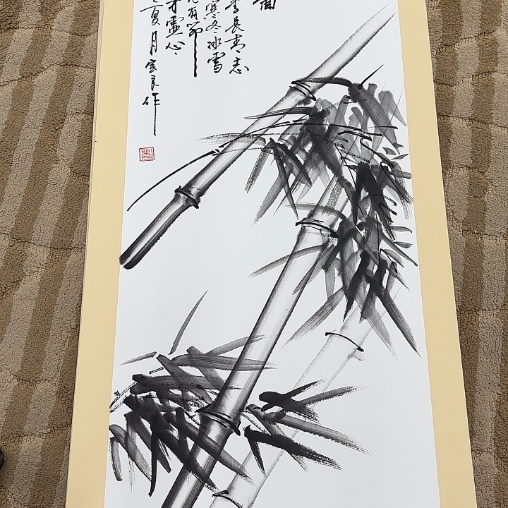 国画花鸟的翅膀和翅膀都是白色的羽毛