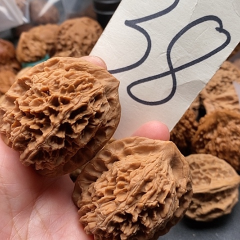 桃核吊坠44全品中国大花