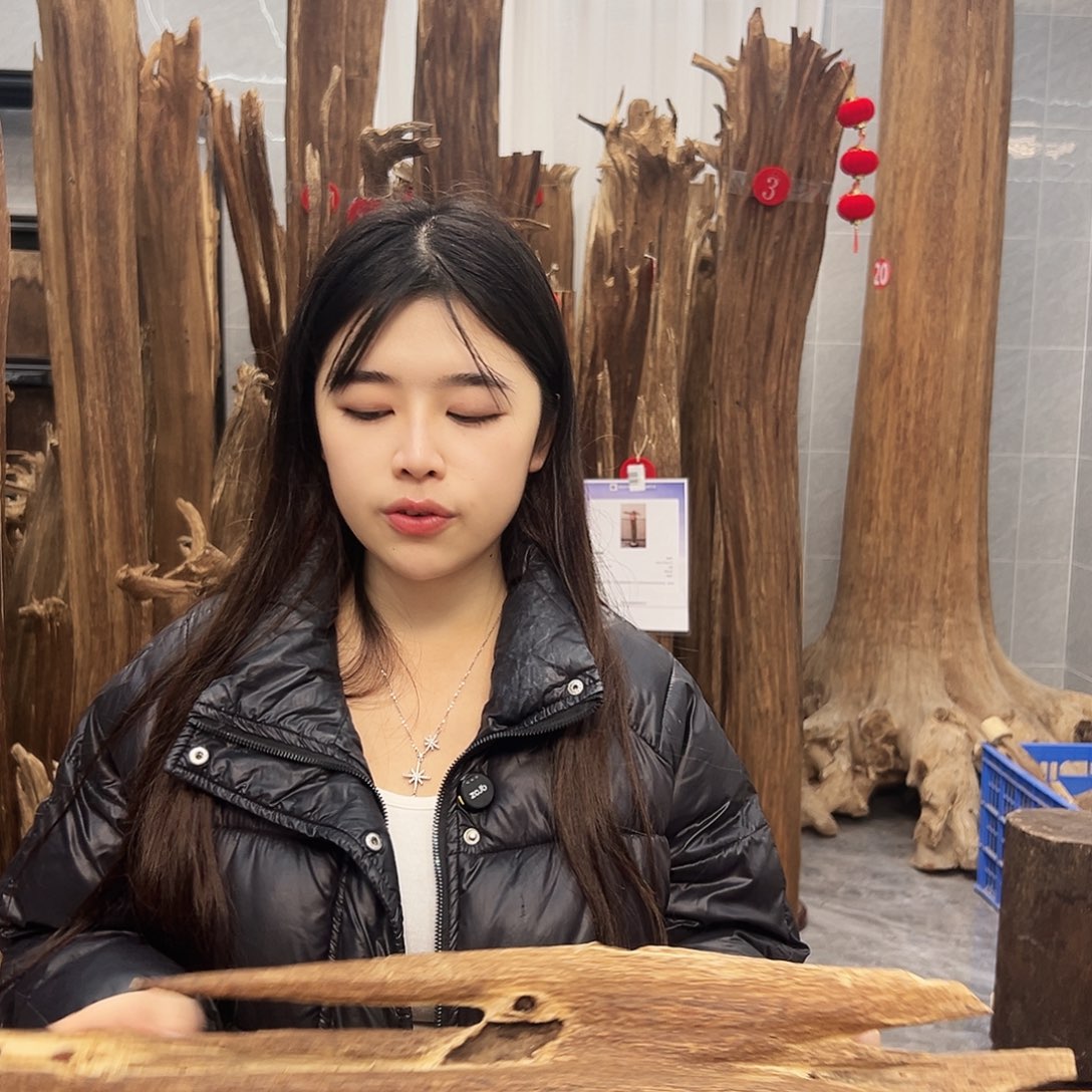 沉香摆件沉香原料摆件工艺品