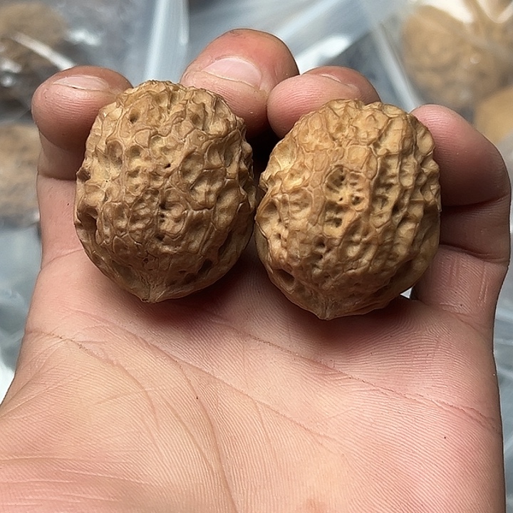 $****核桃牡丹纹元宝40尺