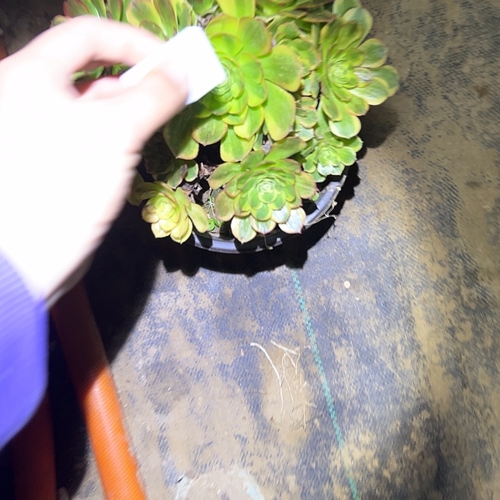 法师一物一拍链接16