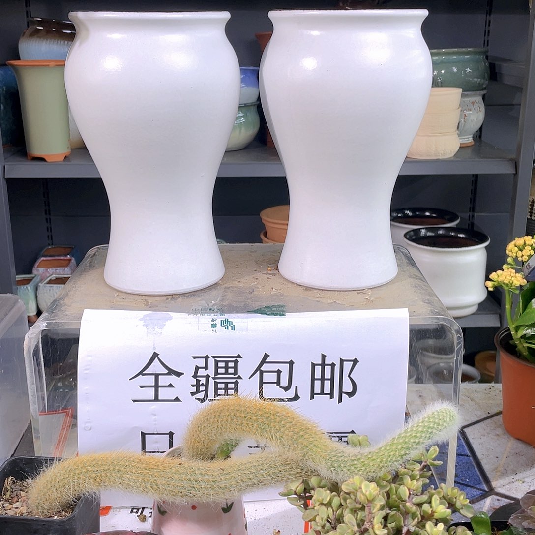 粗陶大花盆两个装啊
