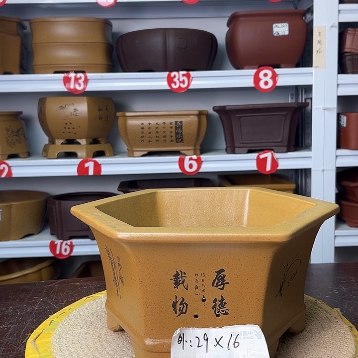 花盆紫砂你在一起