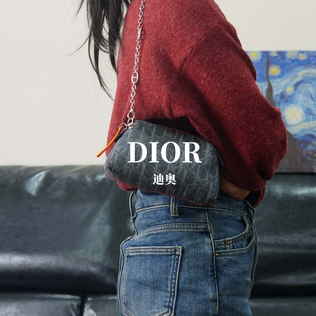 95新 DIOR/迪奥 老花单肩包/HD01506019/6019