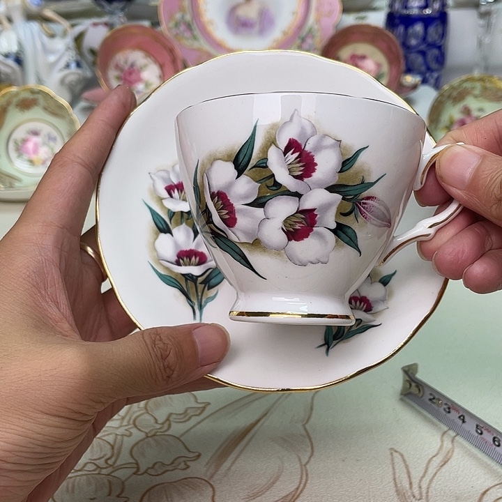 碟维多利亚欧洲中古