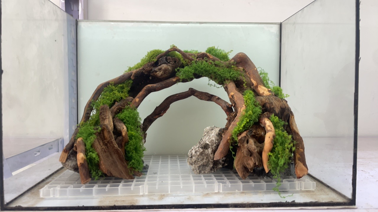 小米鱼缸造景沉木骨架小型骨架鱼缸造景水草缸一木成景全套造景