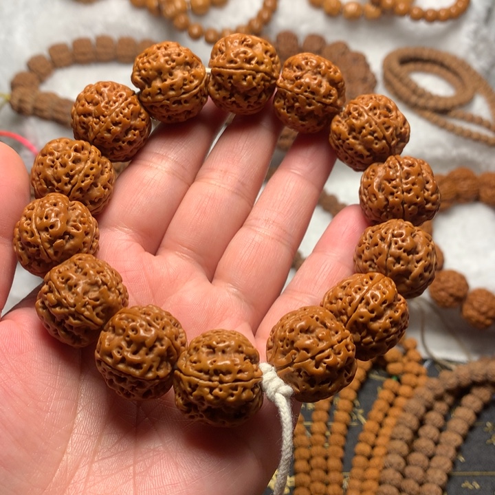 手串金刚菩提   12