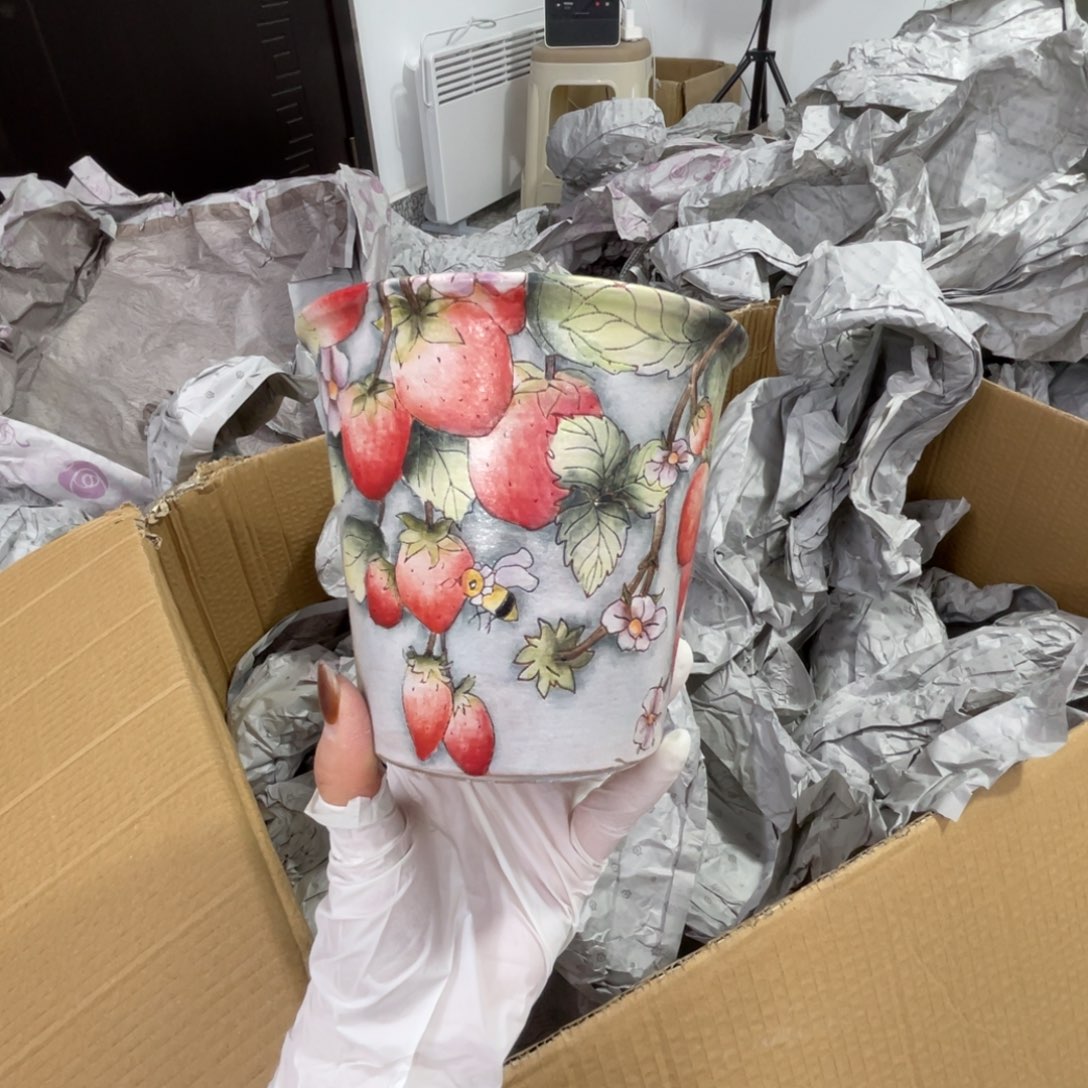 杨****瑶宸1个手绘多肉花盆