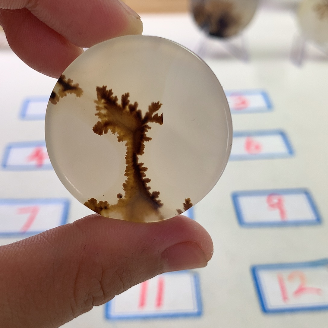 未镶嵌玛瑙/玉髓珠宝半成品