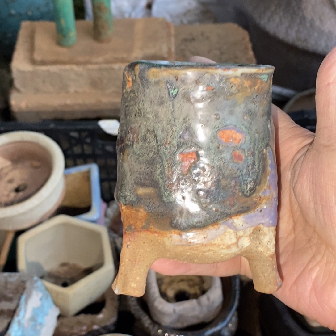 *****多肉盆口径6高10小可爱