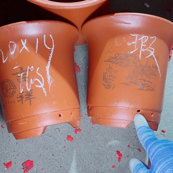 红陶紫砂紫砂紫砂