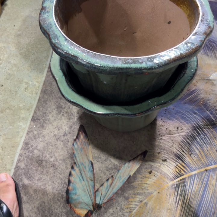 @***下我们的生活是以一颗感恩