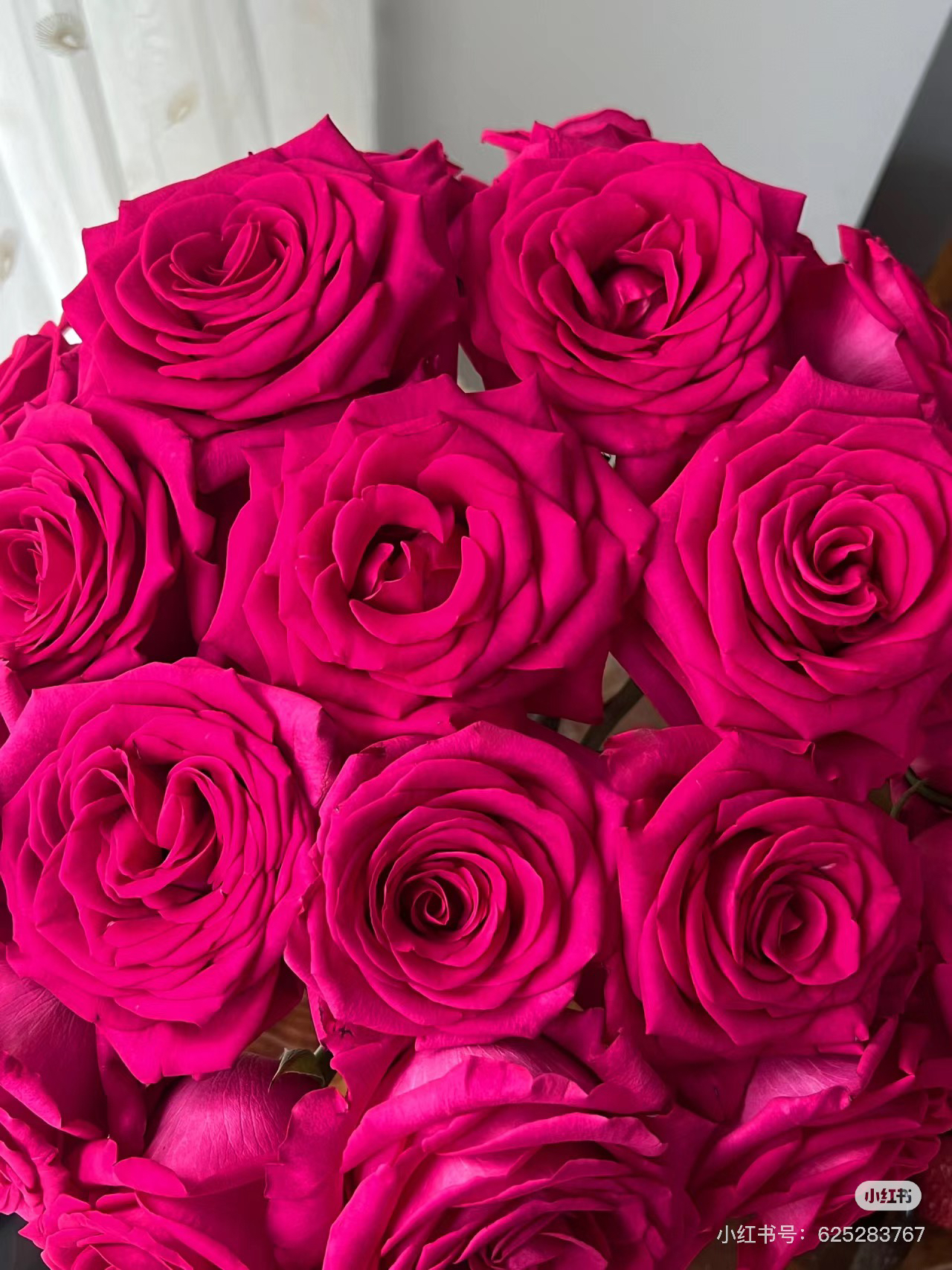 植艺（单头玫瑰）弗洛伊德10支！三件顺丰空运20%不售后