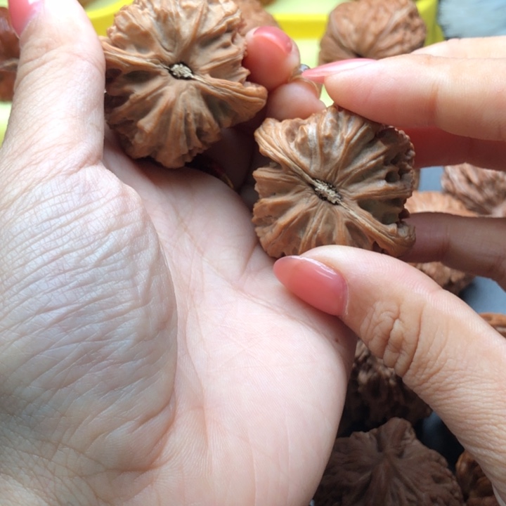 1***1文玩核桃把件42白