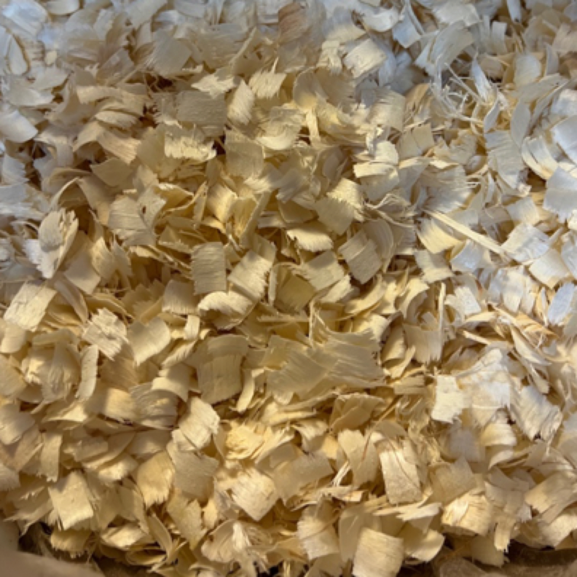 金丝熊大刨花垫料 3斤