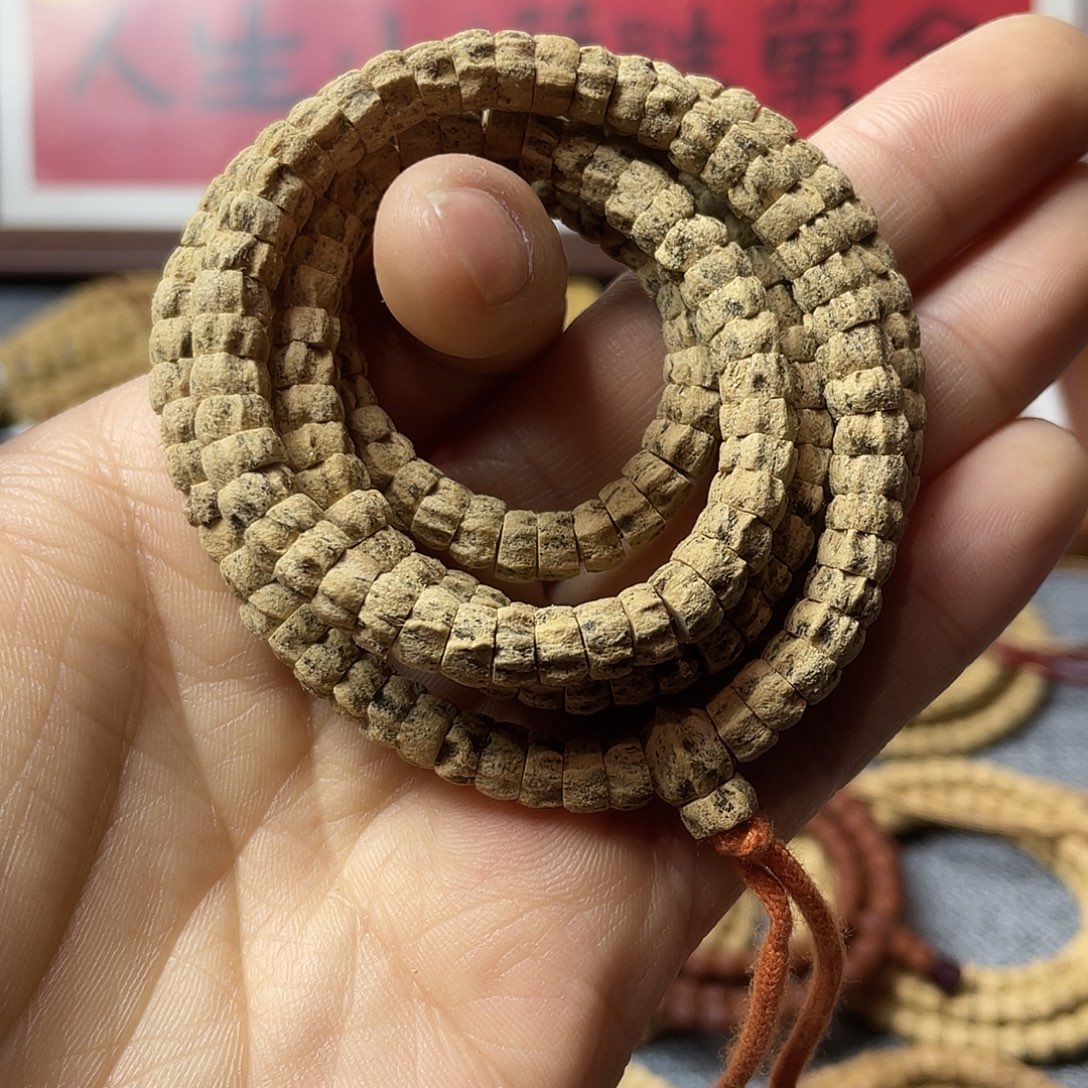 ****健吊坠柏香籽/百香籽苍龙龙脊大肠6.5+