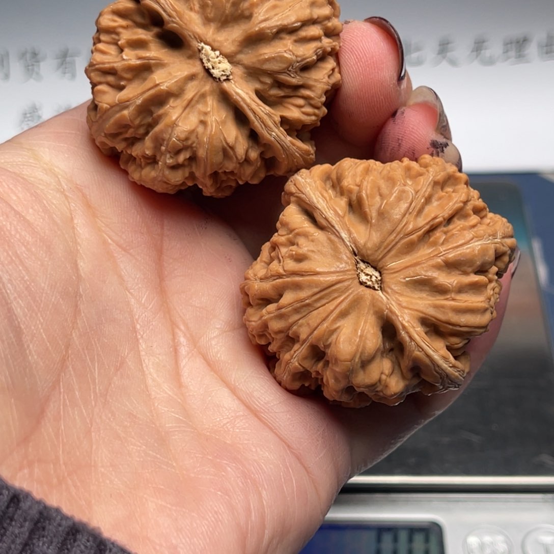 文玩核桃把件粗筋42