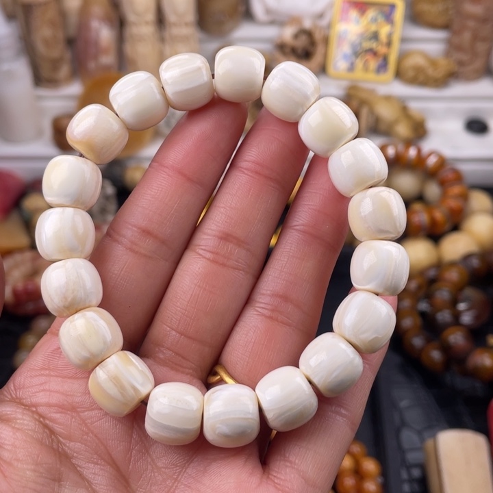 驼骨其他骆驼骨驼牙12