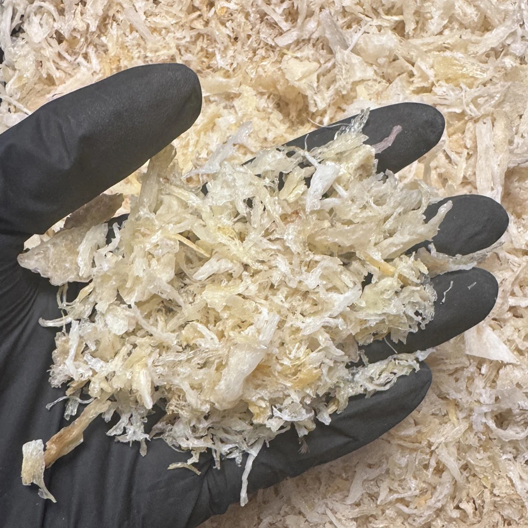 印度尼西亚金丝粗燕碎燕窝高泡发高营养价值孕妈妈首选直播间链接