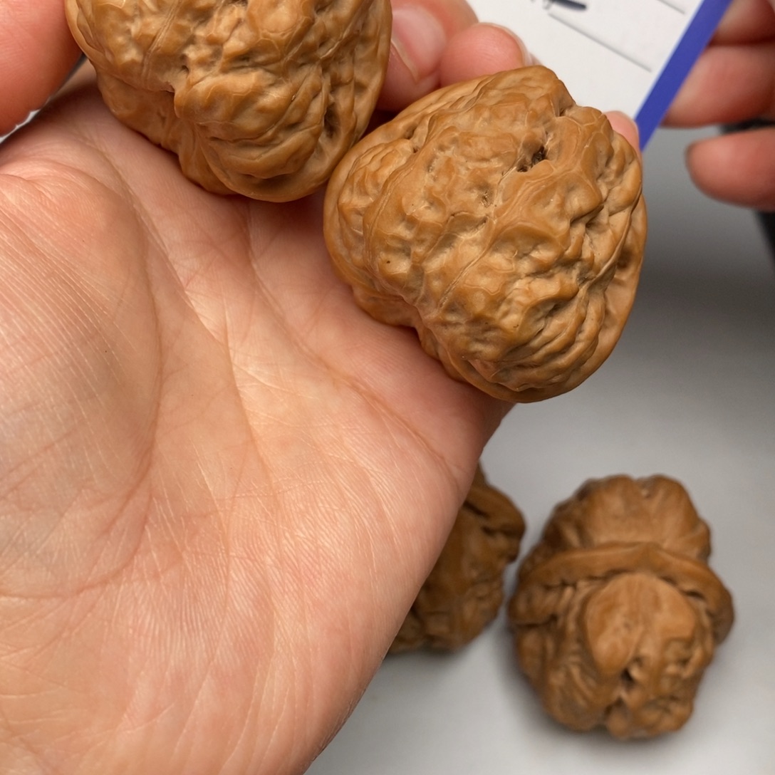 .***.手串/手链核桃A52蛙蛙