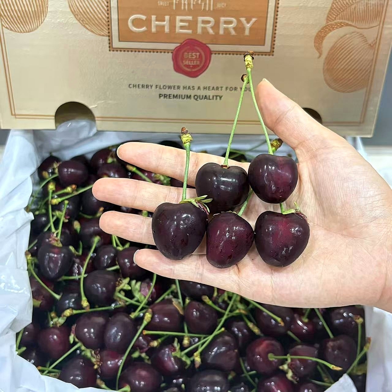 【绿野大叔】科迪亚车厘子国产大樱桃5斤原箱礼盒-顺丰