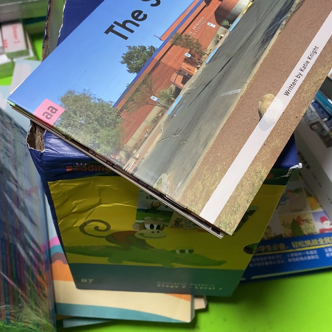 盖世Raz分级阅读aa 级