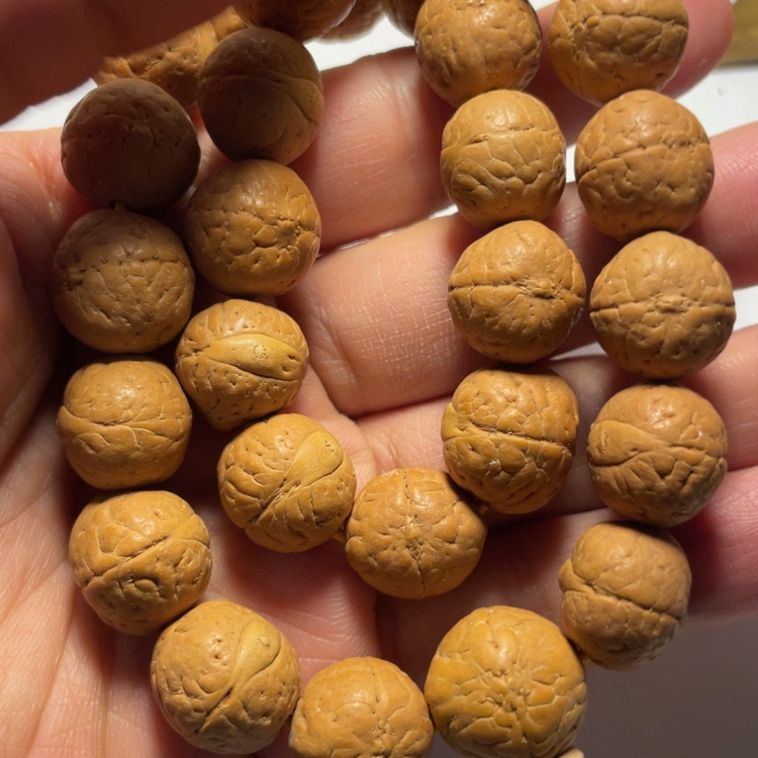 手串凤眼菩提凤眼菩提