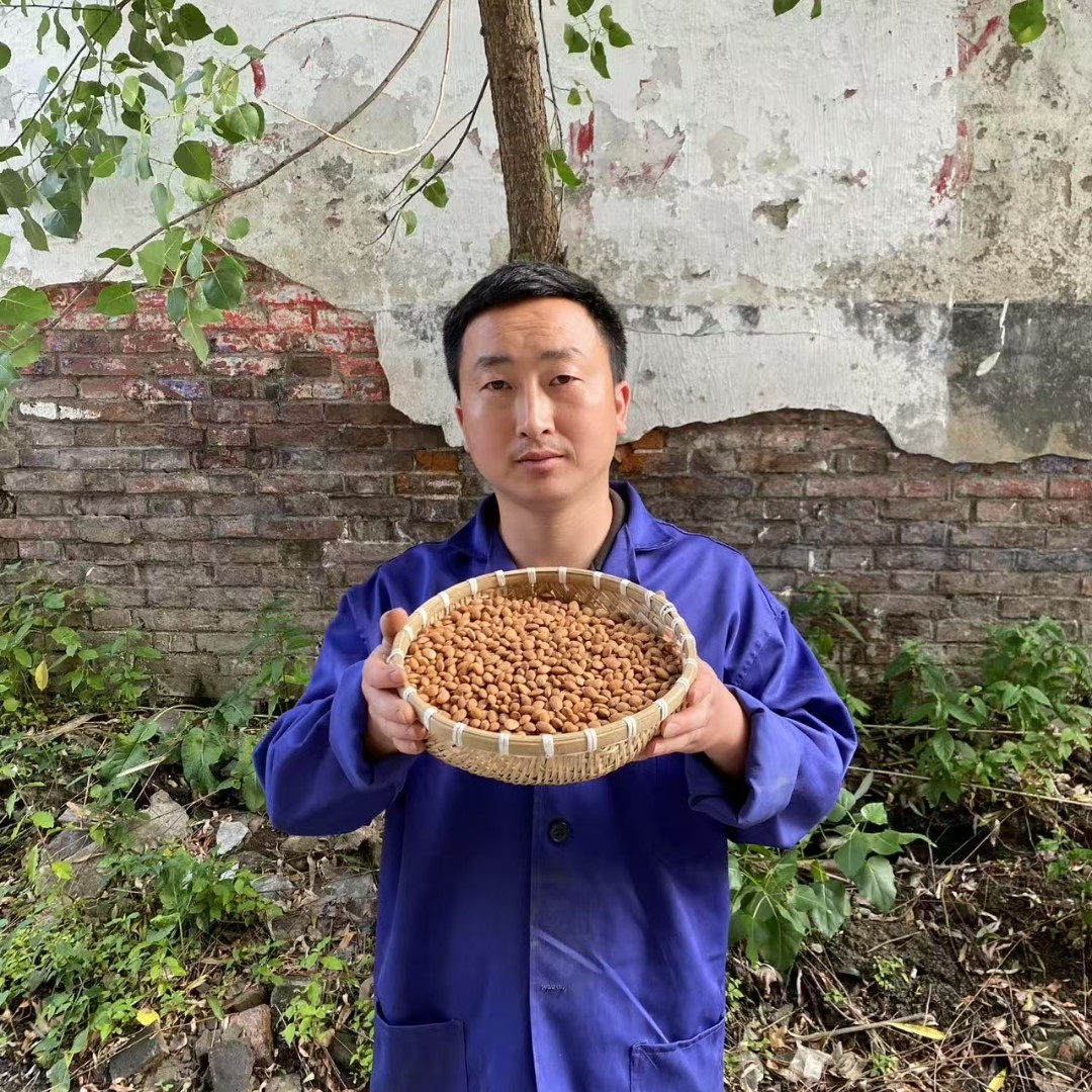 桃仁 内蒙桃仁农家桃仁非种植