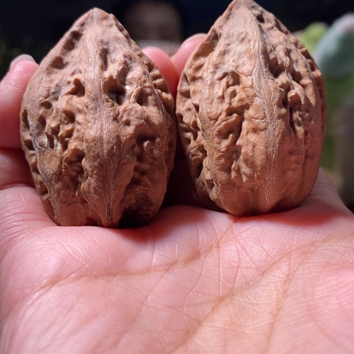 把件文玩核桃东北楸子小路 133