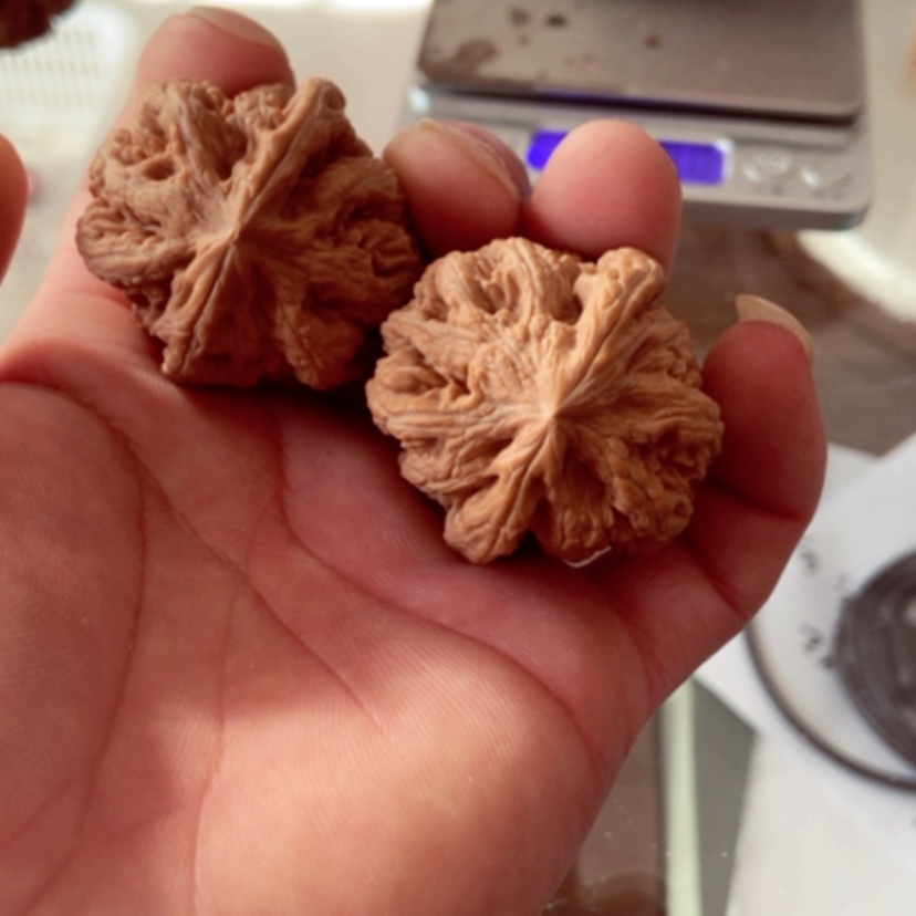 【闪购商品】无*了10尺寸全品无修大粗筋