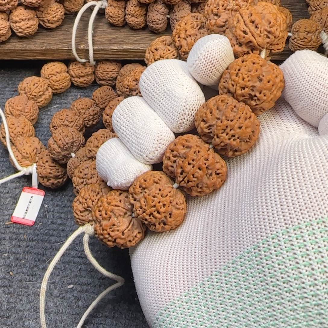 菩提金刚菩提26满肉梅花