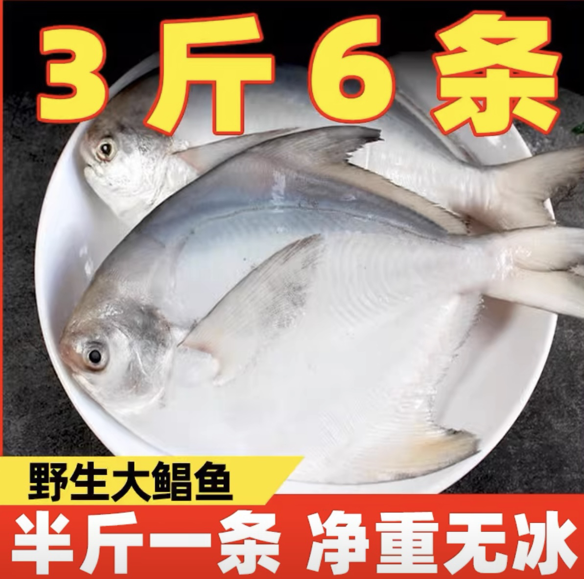 野生海捕银鲳鱼5两一条（独立包装6条）顺丰液氮锁鲜包邮