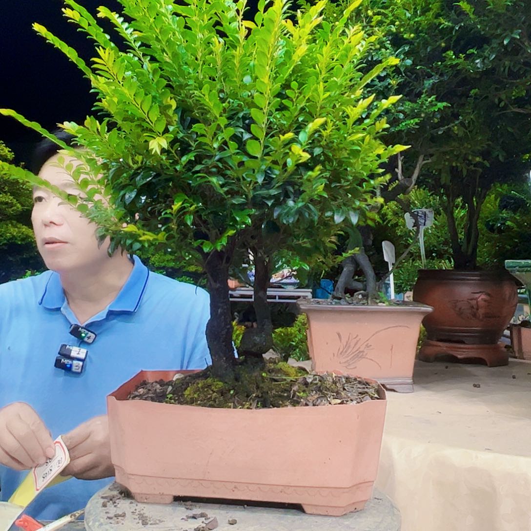 无花朵挖*12345678