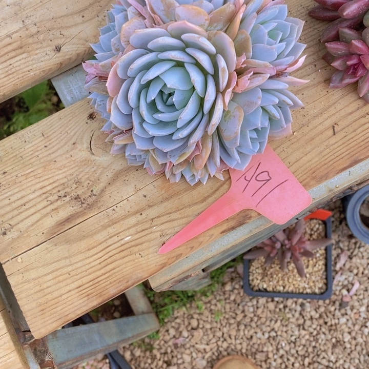 雅****我要的东西不在那