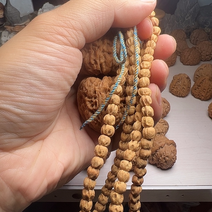 王****哈丁弟没记性您你爹