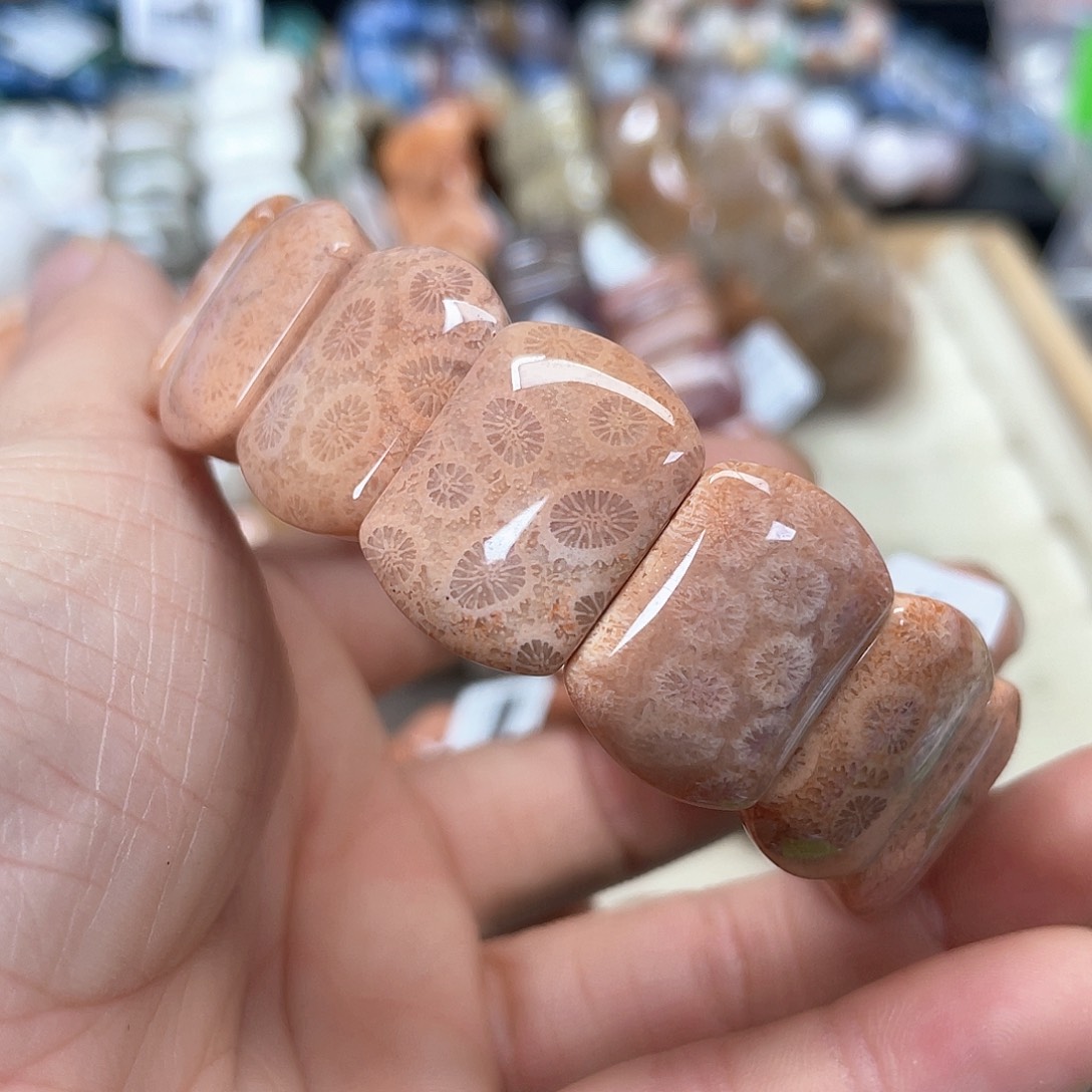 硅化珊瑚（珊瑚玉）手链未镶嵌奶*565