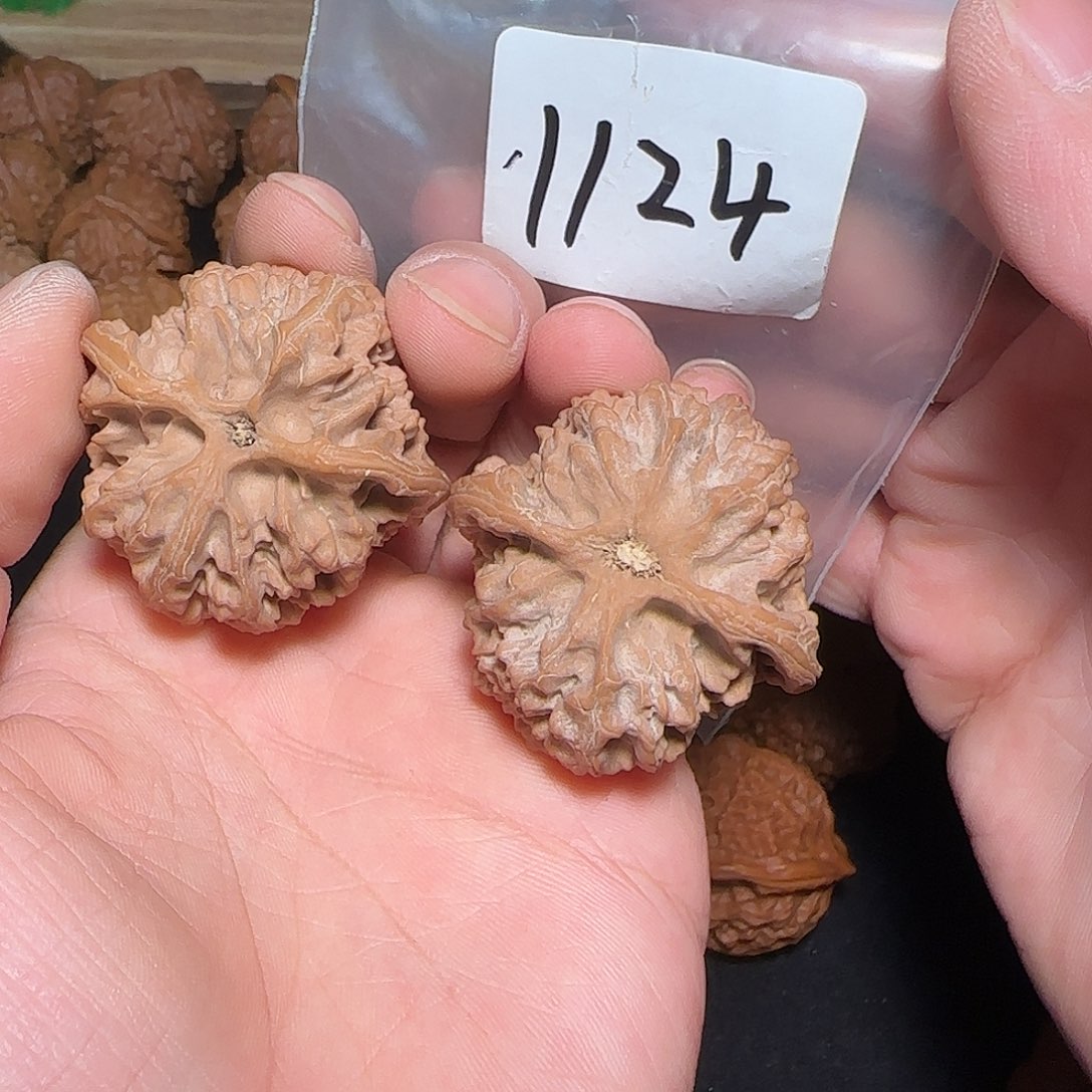 文玩核桃把件1124全品41苹果园