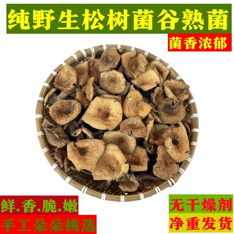 纯野生松菌干货高山菌美味山珍