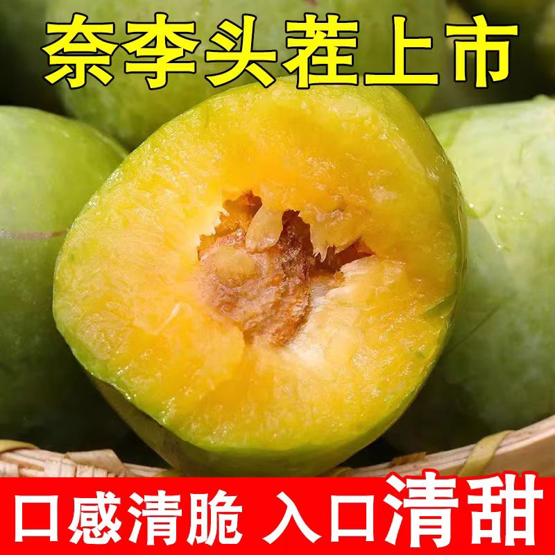 A1【坏果包赔】正宗广西脱骨冰糖奈李清甜爽口新鲜当季水果清脆多汁