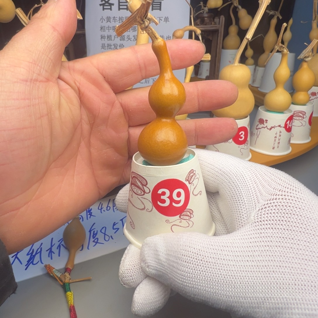 闪电购自助下单编号39