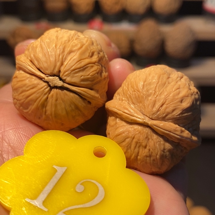 木质类金豆子32尺寸