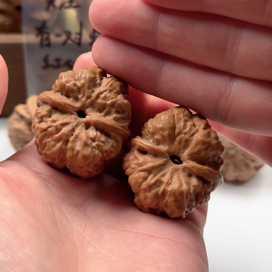 延庆蛤蟆山地果子