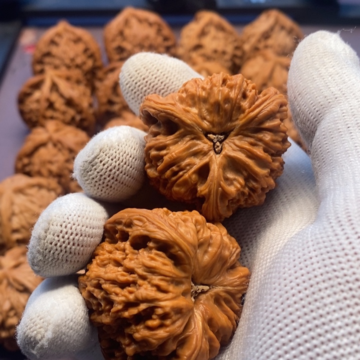 彭***彭核桃手串/手链工艺品