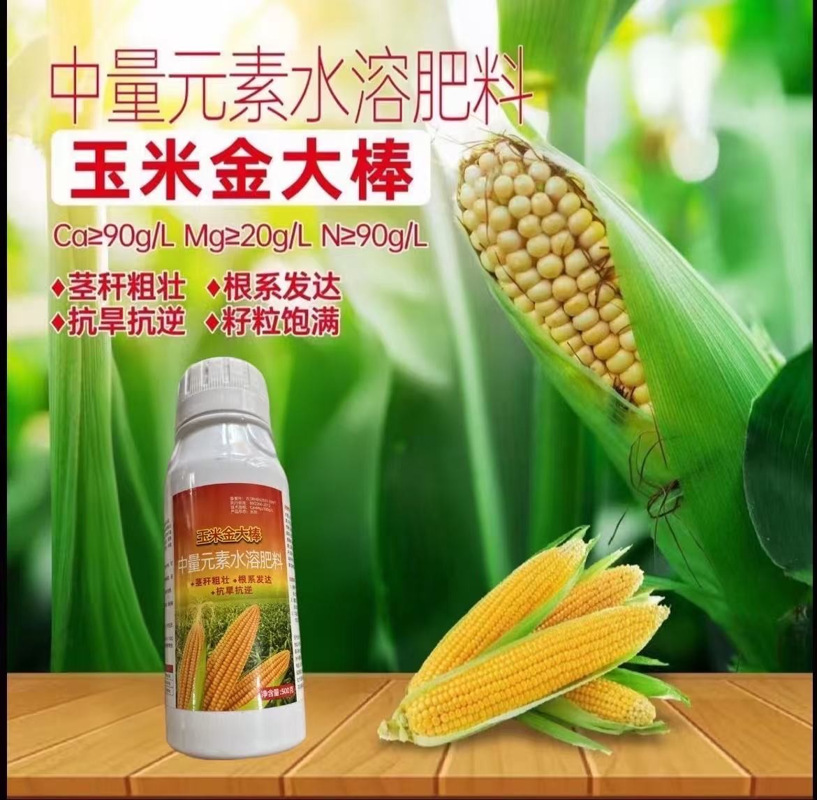 【玉米金大棒】茎秆粗壮根系发达抗旱抗逆籽粒饱满多种包装随机发货