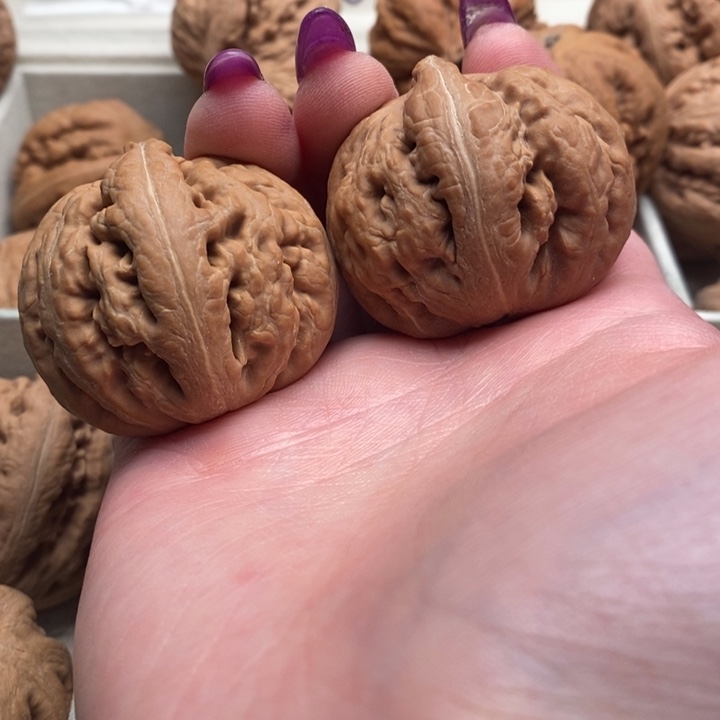 用***2吊坠文玩核桃霸王龙